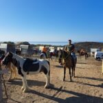 Passeggiata con 40 cavalli a Torre Salsa, guida d’eccezione il sindaco di Montallegro: “Equiturismo in crescita, opportunità per il territorio”