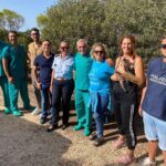 Prevenzione del randagismo a Lampedusa, 130 sterilizzazioni e 40 microchip