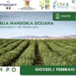 Favara, due giorni dedicati ai progetti del Crea di Palermo sull’agricoltura e la sostenibilità