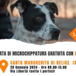 Santa Margherita Belice, al via la Giornata di microchippatura gratuita di cani di LAV Sciacca