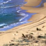 “Torre Salsa violata”: motociclisti scorrazzano sulla spiaggia