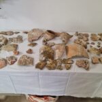 Agrigento, rinvenuti e sequestrati reperti archeologici relativi a frammenti di anfore di età Greco – Romana