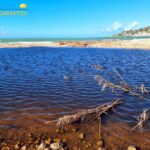 Disastro ambientale nel Fiume Palma: sversate acque di vegetazione – VIDEO