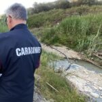 Controlli sul fiume Palma: i Carabinieri individuano la causa