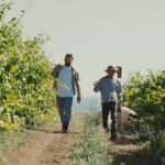 Cantine Settesoli e Agrigento2025 insieme per il podcast Radici di Vento