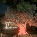 Dalla Valle dei Templi un appello che arriva al mondo: l’Inner Wheel Agrigento illumina la città di arancione contro la violenza sulle donne