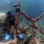 Ritrovamento del relitto del piroscafo Lombardo, convegno a Villa Genuardi