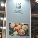 Il Libero Consorzio Comunale di Agrigento presente ad “Artigiano in Fiera 2025 – Milano”