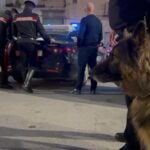 Agrigento, controlli dei Carabinieri in centro città: cani fiutano droga e scattano le sanzioni