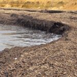 Posidonia nelle spiagge dell’agrigentino, Mareamico: “da problema a risorsa” – VIDEO