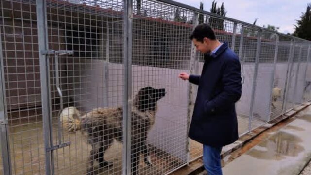 Giornata Mondiale del Cane: Gioventù Nazionale Agrigento rinnova il proprio impegno per gli animali
