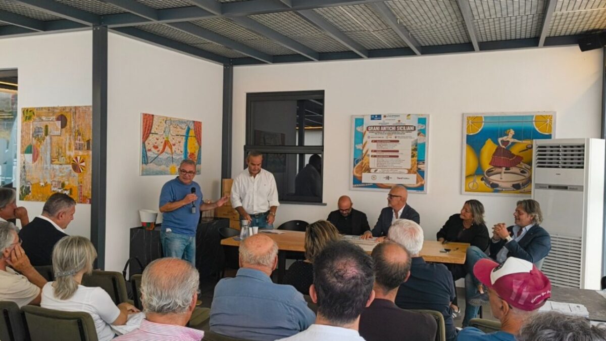 Grani Antichi Siciliani verso l’IGP, una filiera da 200 milioni che punta al miliardo