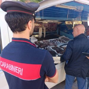 Porto Empedocle, controlli sulla commercializzazione dei prodotti ittici: sequestri e denunce