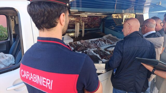 Porto Empedocle, controlli sulla commercializzazione dei prodotti ittici: sequestri e denunce